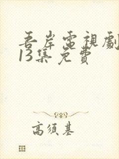 吾岸电视剧全集13集免费