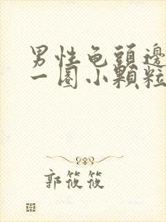 男性龟头边缘有一圈小颗粒