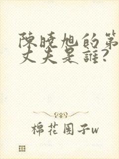 陈晓旭的第一任丈夫是谁?封面