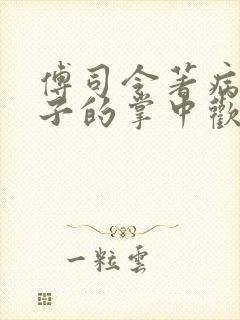 傅司令著病娇太子的掌中欢