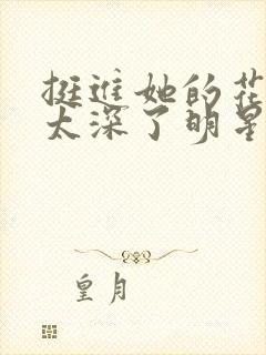 挺进她的花苞啊太深了明星小说封面