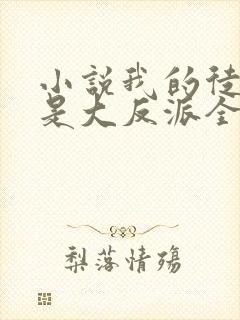 小说我的徒弟都是大反派全篇