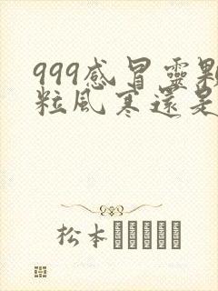 999感冒灵颗粒风寒还是风热