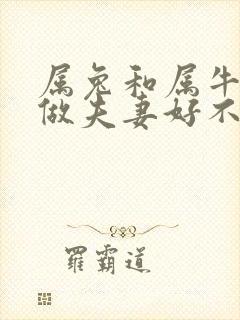 属兔和属牛相配做夫妻好不好