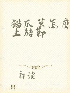 猫爪草怎么消肺上结节