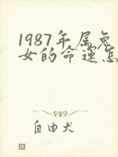 1987年属兔女的命运怎么样