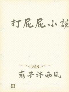 打屁屁小说封面