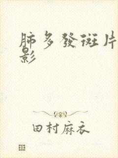 肺多发斑片结节影