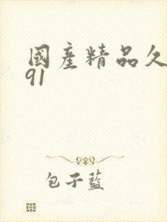 国产精品久久 91