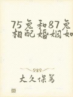 75兔和87兔相配婚姻如何