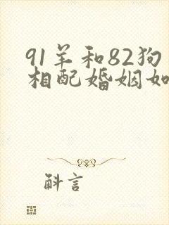 91羊和82狗相配婚姻如何