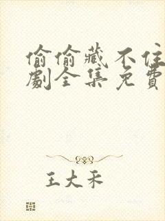 偷偷藏不住电视剧全集免费观