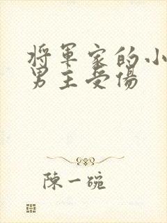 将军家的小娘子男主受伤封面