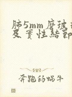 肺5mm磨玻璃及实性结节