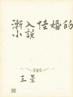 渐入佳婚的原著小说