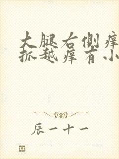 大腿右侧痒痒越抓越痒有小红疙瘩