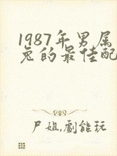 1987年男属兔的最佳配偶