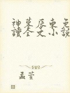 神墓辰东免费阅读全文小说封面