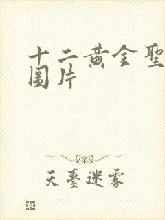 十二黄金圣斗士图片封面