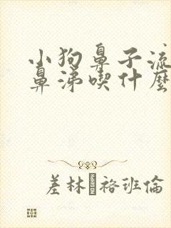 小狗鼻子流黄浓鼻涕吃什么药