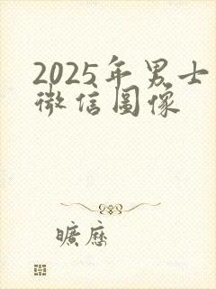 2025年男士微信图像