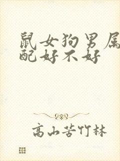 鼠女狗男属相婚配好不好封面