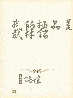 我的极品美女总裁林铭