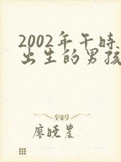 2002年午时出生的男孩命运封面