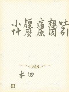 小腹痛想吐女性什么原因引起的