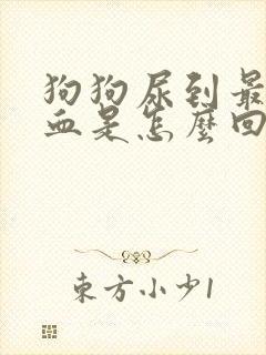 狗狗尿到最后尿血是怎么回事