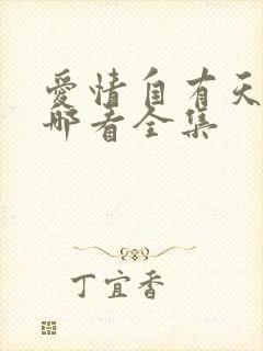 爱情自有天意在哪看全集