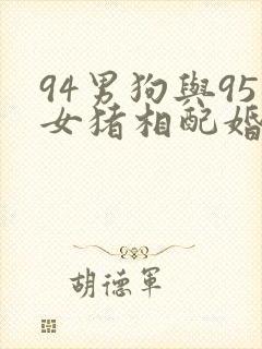 94男狗与95女猪相配婚姻如何