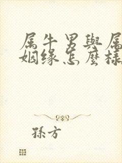 属牛男与属猴女姻缘怎么样