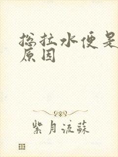 总拉水便是什么原因