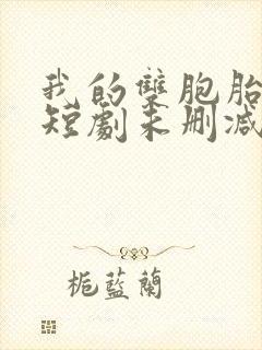 我的双胞胎姐妹短剧未删减