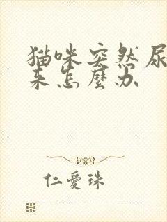 猫咪突然尿不出来怎么办