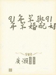 91年羊与91年羊婚配好吗