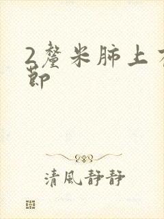 2厘米肺上有结节封面