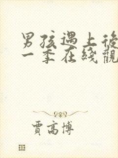 男孩遇上后宫第一季在线观看全集