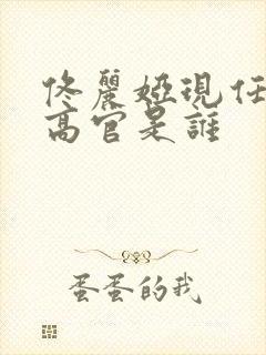 佟丽娅现任丈夫高官是谁封面