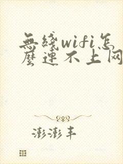 无线wifi怎么连不上网