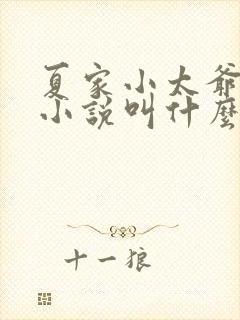 夏家小太爷原著小说叫什么名字