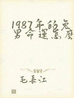 1987年的兔男命运怎么样