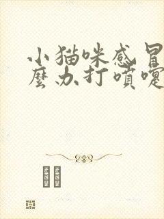 小猫咪感冒了怎么办打喷嚏流鼻涕