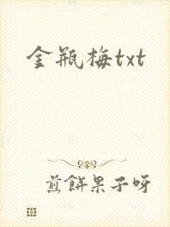 金瓶梅txt