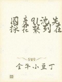 国产91沈先生探花系列在线播放