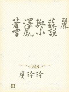 萧泽与苏丽莎王雪凤小说