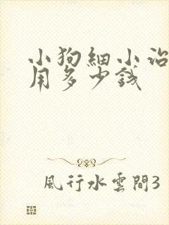 小狗细小治疗费用多少钱