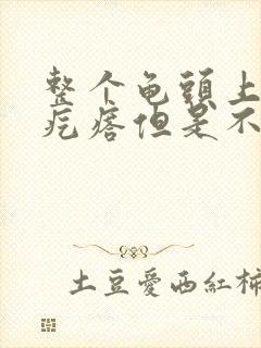 整个龟头上长小疙瘩但是不疼不痒