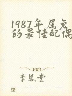 1987年属兔的最佳配偶属相
